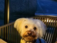 -杭州桐庐康莱德酒店西餐厅-舍