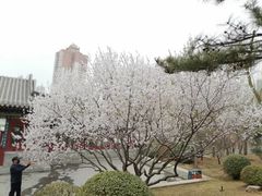 -迎泽公园