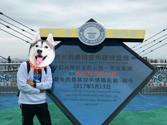 -梦幻奥陶纪景区