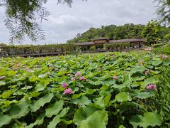 -广州莲花山旅游区
