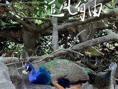 -长鹿旅游休博园