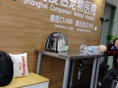 -爱侣宠医·鹦鹉专科·小型哺乳类·异宠专科(灵石路店)