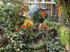 -正佳雨林生态植物园