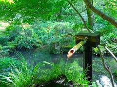 -彩色沙林风景区