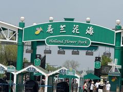 -荷兰花海