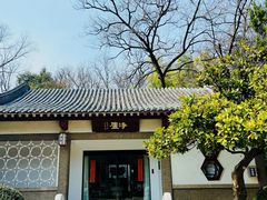 -南京古林公园
