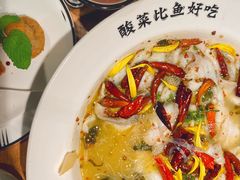 -太二酸菜鱼(石家庄万象城店)