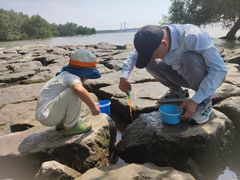 -宝安西湾红树林湿地公园