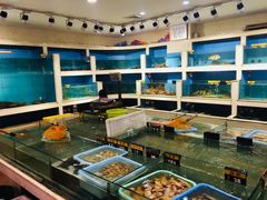 水产区-同君福大酒楼(紫新路店)