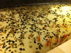 大堂-天津水游城丽筠酒店