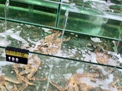 水产区-旺角餐厅(潮州大道店)