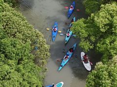 -动邦皮划艇·桨板·独木舟·团建户外运动俱乐部