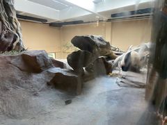 -宁波野生动物园