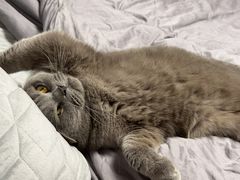 -海底捞火锅(杭州萧山宝龙广场店)