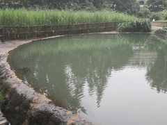 -成都市活水公园