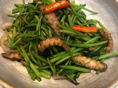 虾爬肉炒菠菜-小天厨民间菜馆(深圳街店)