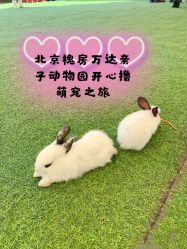 -萌宠亲子动物乐园(槐房万达店)