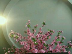 -叠溪松坪沟景区