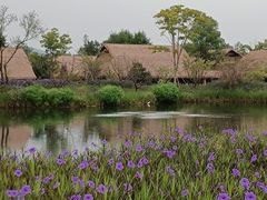 -良渚古城遗址公园
