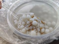 -潘玉麟糖粥