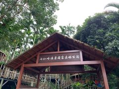 -七仙岭温泉国家森林公园