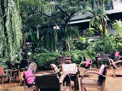 -Fern Forest Cafe