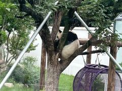 -无锡动物园·太湖欢乐园