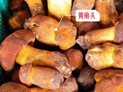 -菌山里·野生菌猪肚包鸡(阳光花园店)
