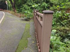 -火炉山森林公园