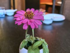 -羡餐厅·杭帮菜·淳菜(千岛湖自由洲际殿店)