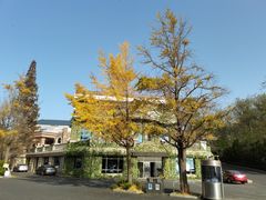 -棒棰岛宾馆景区