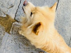 -石舍洒秀咖啡馆