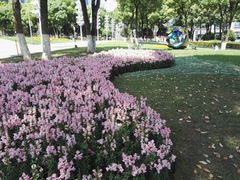 -重庆市江北嘴中央商务区中央公园