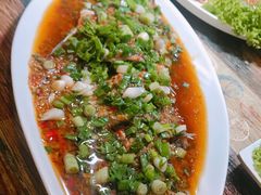 -鱼乐乐(Happy Fish)