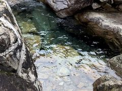 -姑婆山旅游区