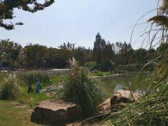 -东湖落雁景区