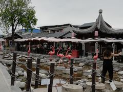 -茯茶镇