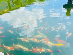 -瑞博尔花园酒店(太周创新产业园店)