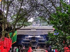 -青城山