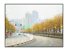 -洲头咀公园