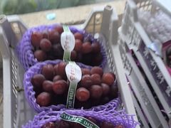 -马陆小张葡萄园农家乐