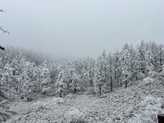 -瓦屋山景区