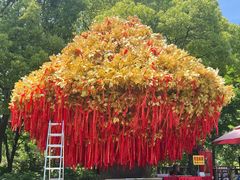 -狼山风景名胜区