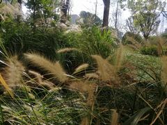 -中国工商银行(漕河泾开发区支行)