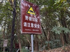 -紫金山山顶公园
