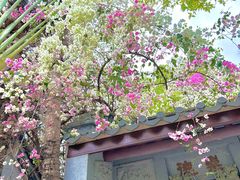 -深圳国际园林花卉博览园