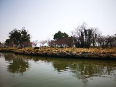 -下渚湖国家湿地公园科普馆