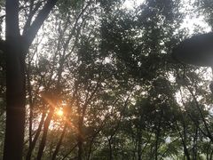 -重庆彩云湖湿地公园