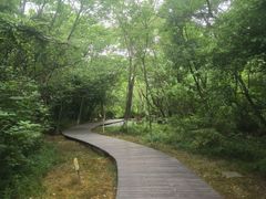 -盘龙城国家考古遗址公园