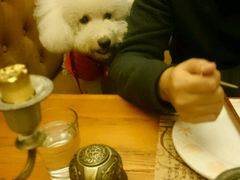 -素心小筑(后沙裕镇店)